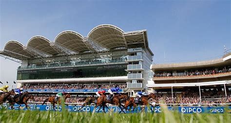 newmarket race cards